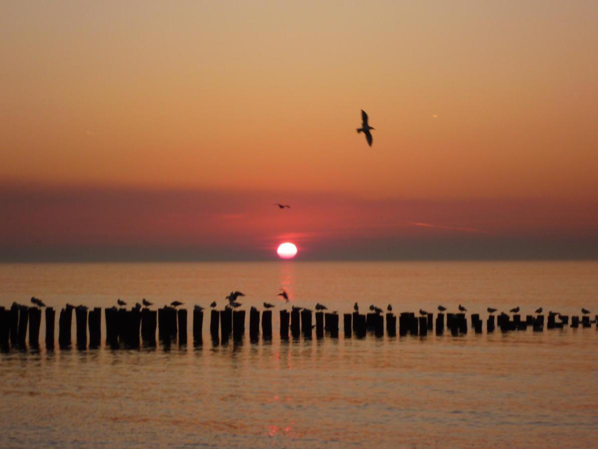 Vakantiehuis Domburg Do08 Met Sauna! Eksteriør bilde